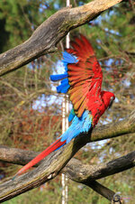 Gerhard G.-20860.jpg