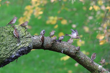 Gerhard G.-21054.jpg