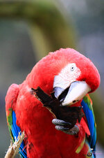 Gerhard G.-21167.jpg