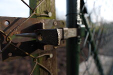 IMGP3783.jpg