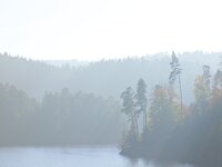 PA194973.jpg