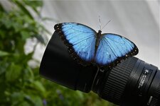 IMG_7213.JPG