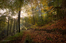 IMG_1658-B-4.jpg