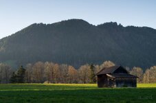 Herbstbild.jpg
