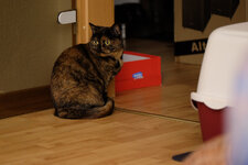DSCF1594_mit_ois.JPG