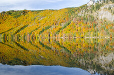 DSC_0085-2.jpg