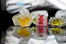 frostBÄRiode_klein.jpg