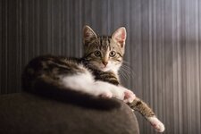 comp_IMG_6754.jpg
