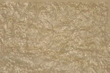 5EUR_papier_14-11-16.jpg