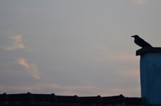 Bildschirmfoto 2013-04-26 um 20.51.21.JPG