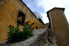 Provence-12.jpg
