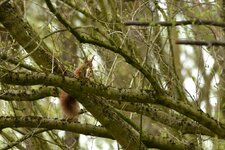 comp_DSC_8701.jpg