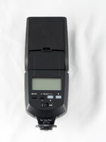 PB240003 Kopie.JPG