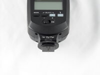 PB240004 Kopie.JPG
