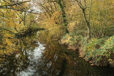 Herbst am Weiher.JPG