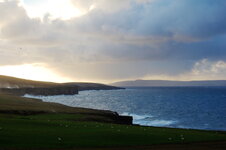 DSC_9393.JPG DSC_9393.JPG