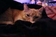 spot-2.JPG