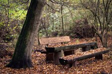 herbst_schokorossi.jpg