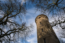 P1000886-1.jpg