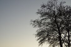 IMGP8121_1200.jpg