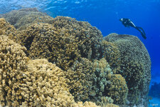 _MG_7167_Shaab_Mohamed.jpg