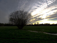 P4180024-4.jpg