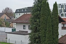 comp_2013_04290009 Kopie.jpg