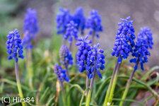 20130426-IMG_2905.jpg