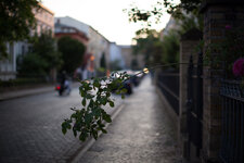 IMG_3989-2.jpg