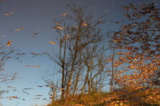 herbst001.JPG