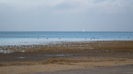 DSC04024-2.JPG