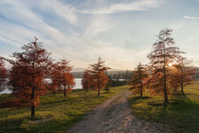 DSCF6059.jpg