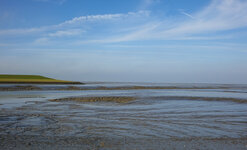 DSC04094-22.JPG