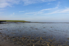 DSC04099-24.JPG