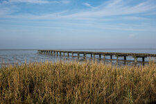 DSC04121-34.JPG
