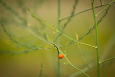 HL5_5768-1.jpg