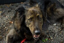 Tag der Arbeit (2 von 39).jpg