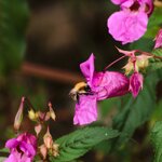 IMG_3115.jpg