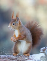 5DM34833-LR5-7-dslr.jpg