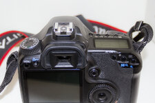 IMG_9893.jpg