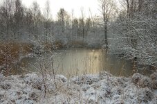 IMGP8302.jpg