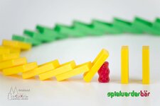 spielverderBAER.jpg