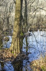 comp__IGP2801_RAW.jpg