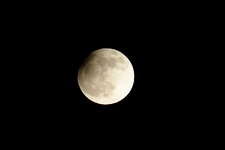 DSC_0716_crop_f.JPG