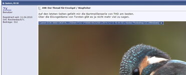 Screenshot_2.jpg