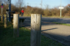 DSC02450.JPG