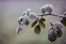 HL5_7096-1.jpg