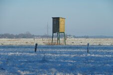 Turm.jpg