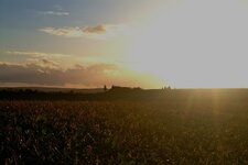 DSCF3714.jpg