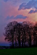 DSCF3769.jpg
